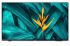 Philips 43"" HFL5214U Android Mediasuite Hospitality TV  Built-In Chromecast, Netflix &amp; Google Play, 350NIT UHD, Vesa 100 x 200
